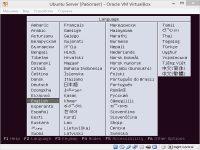 Программа установки UbuntuServer в VirtualBox